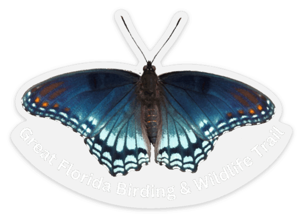 Red-Spotted Purple Sticker - Image 2