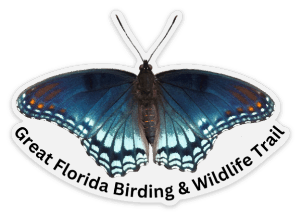 Red-Spotted Purple Sticker