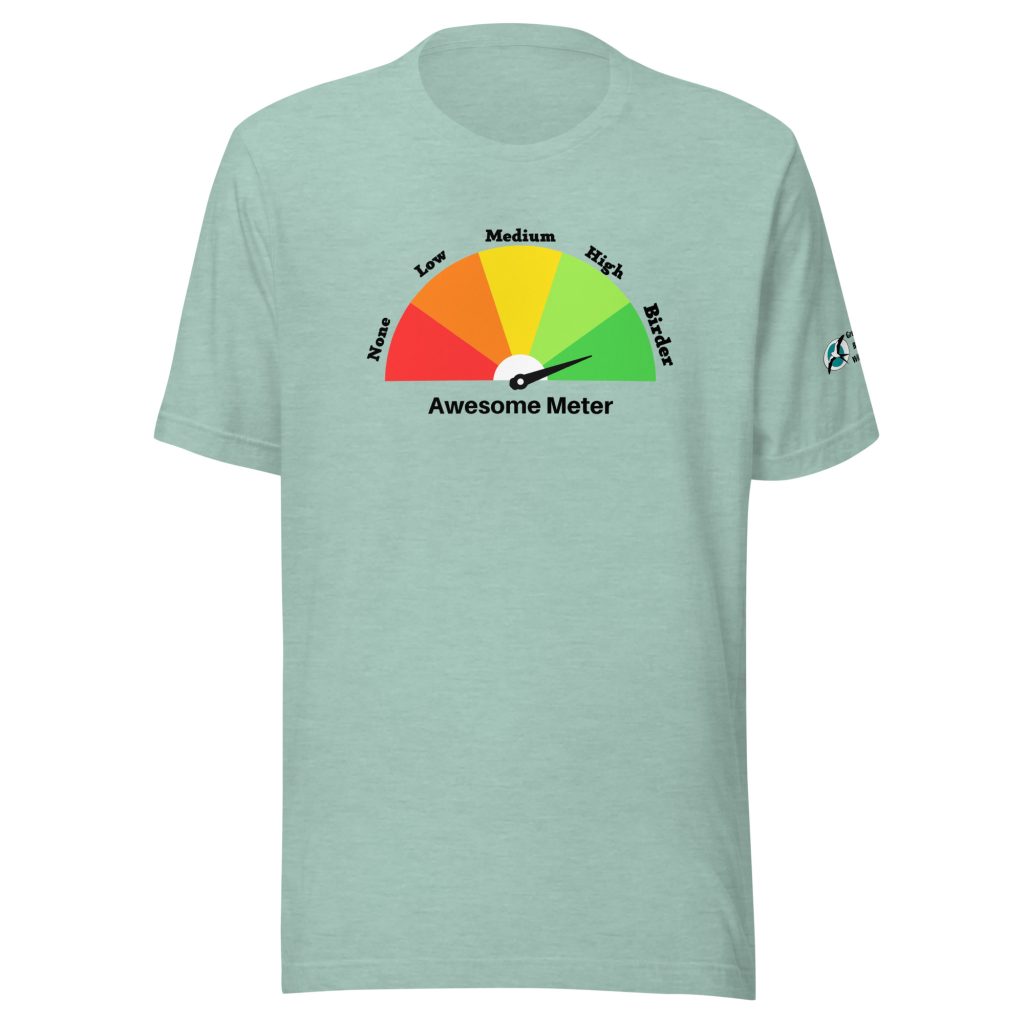 Awesome Meter T-shirt – Great Florida Birding and Wildlife Trail Store