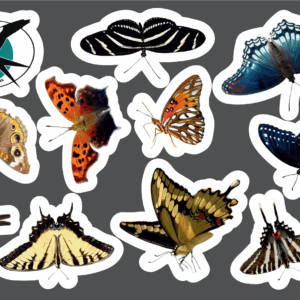 Butterfly sticker sheet with 10 butterfly stickers and a Birding Trail logo sticker